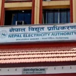 Gen-Z आन्दोलनका मृतकका परिवार सदस्यलाई विद्युत् प्राधिकरणमा नियुक्ति